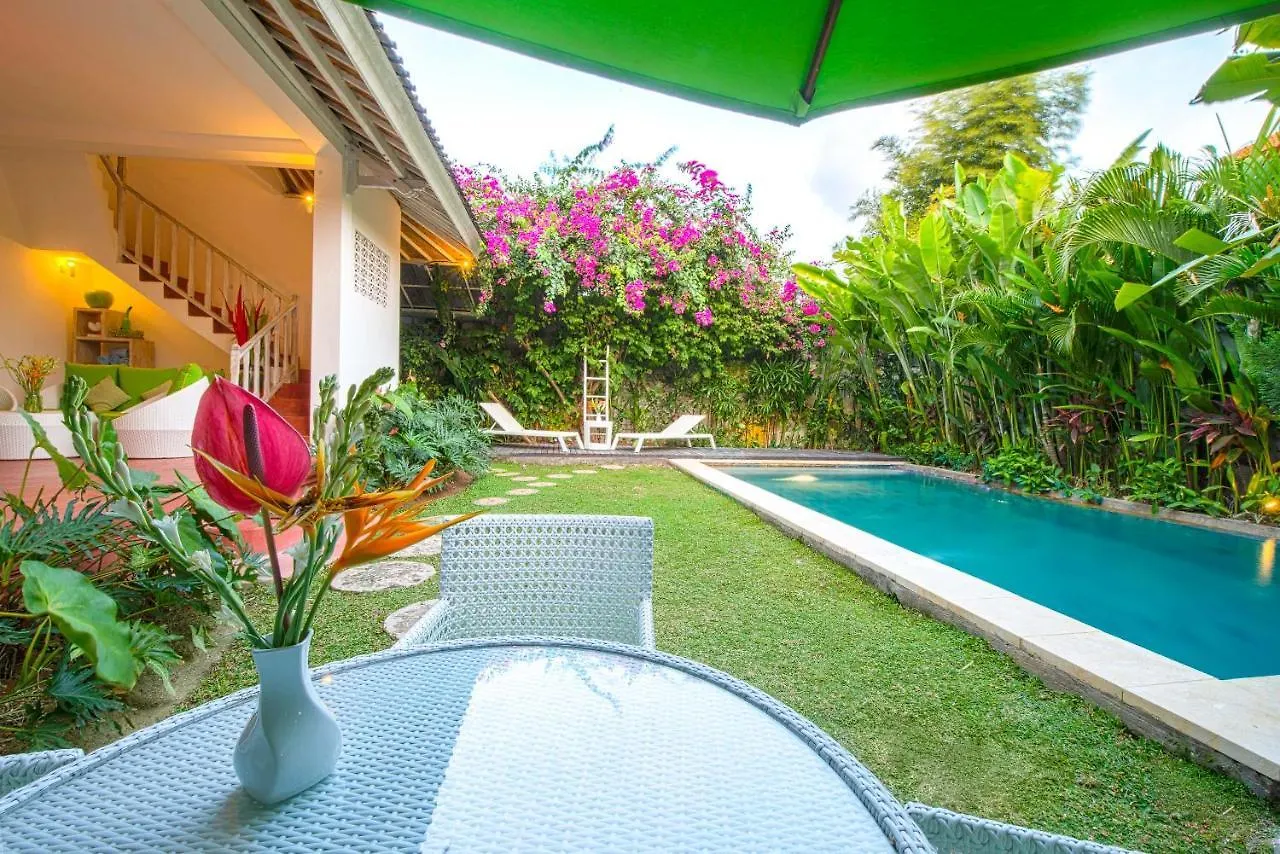 Villa Enjoy - Seminyak Center 0*,